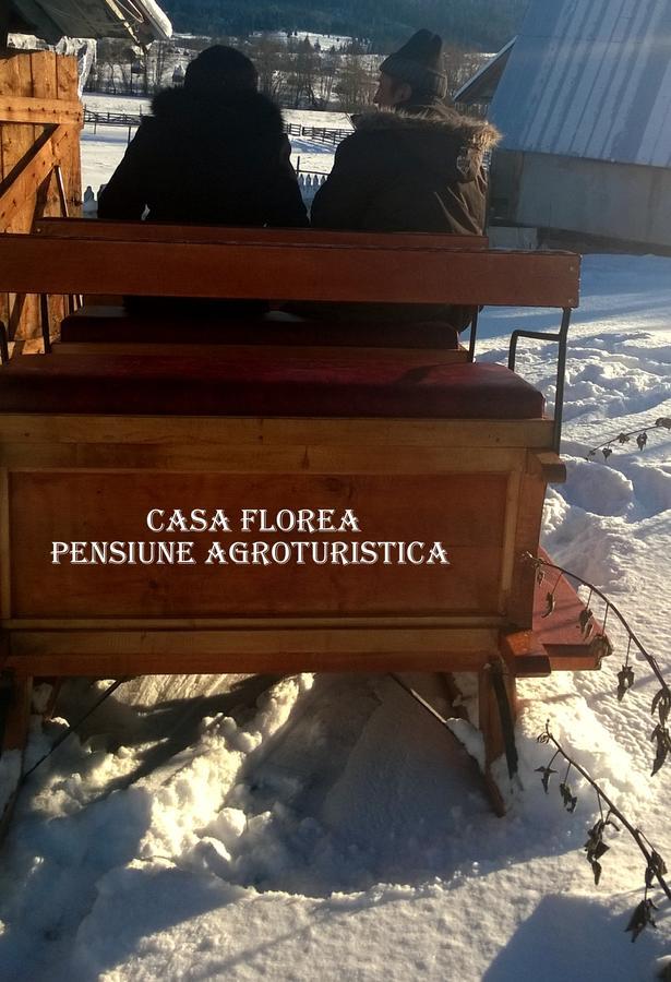 Casa Florea Poiana Stampei Buitenkant foto
