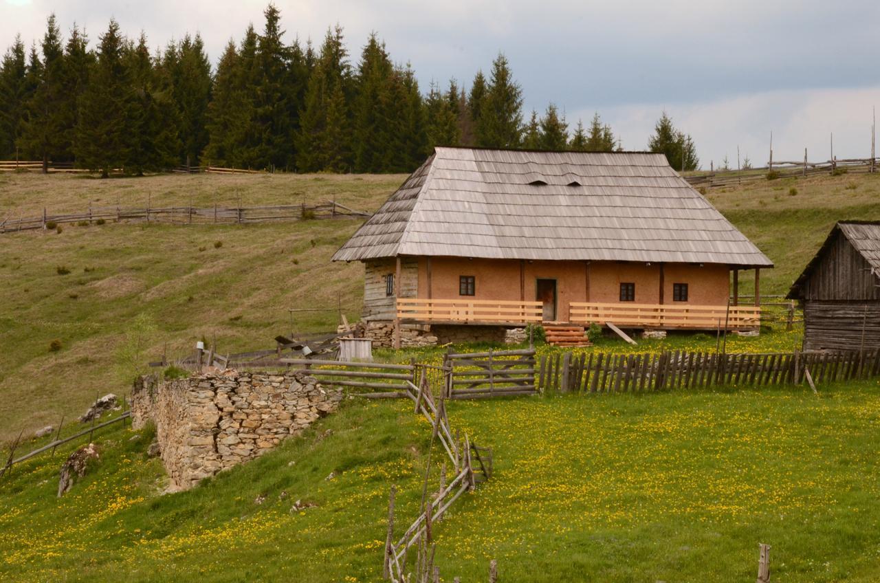 Casa Florea Poiana Stampei Buitenkant foto
