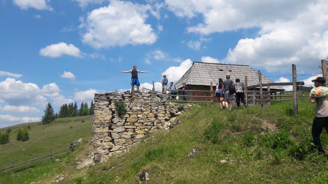 Casa Florea Poiana Stampei Buitenkant foto