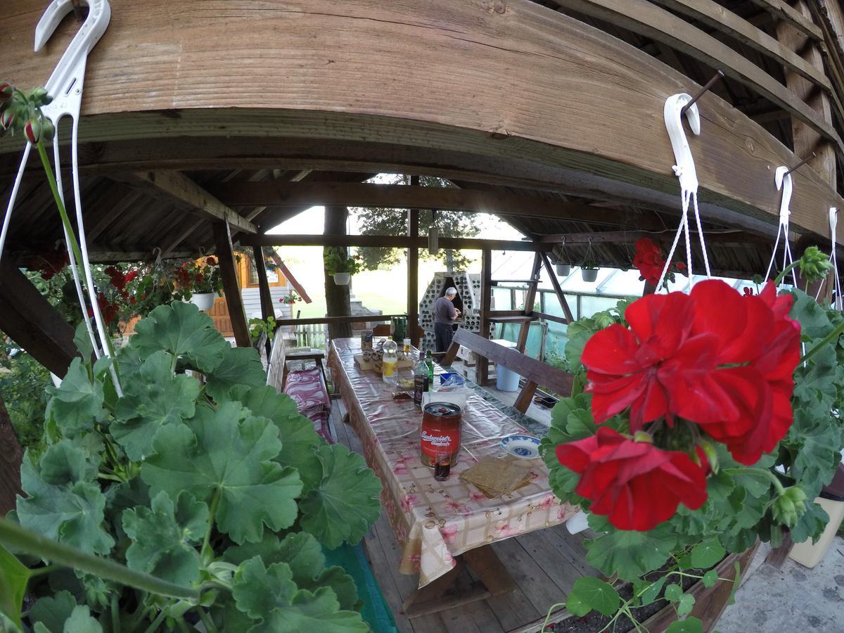 Casa Florea Poiana Stampei Buitenkant foto