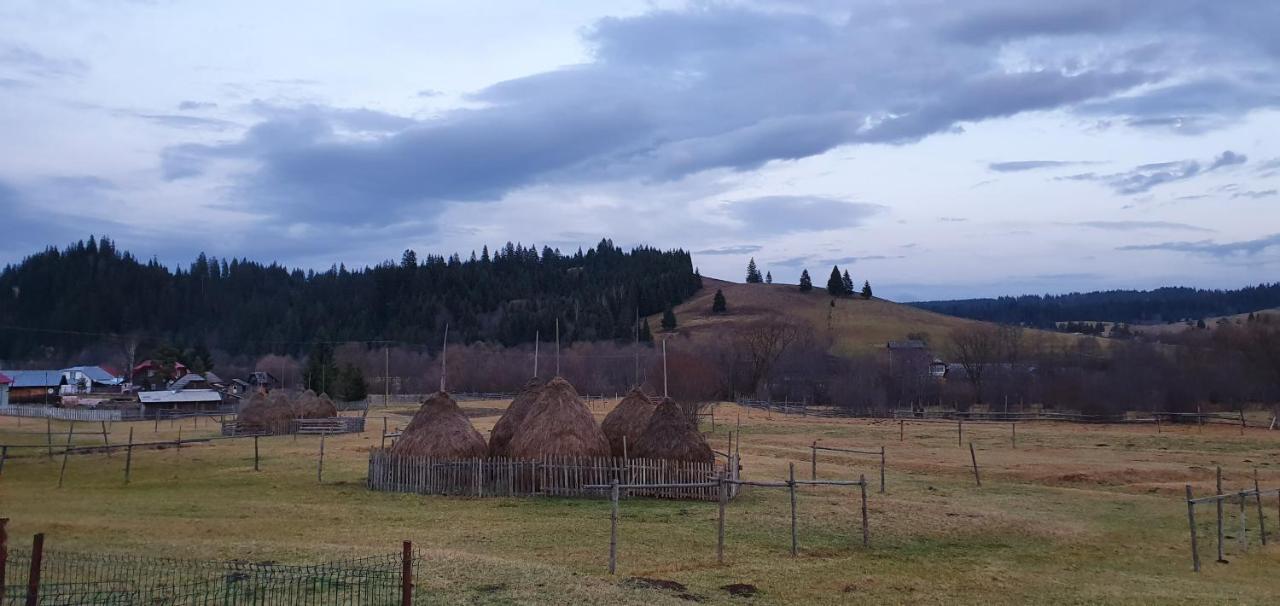 Casa Florea Poiana Stampei Buitenkant foto