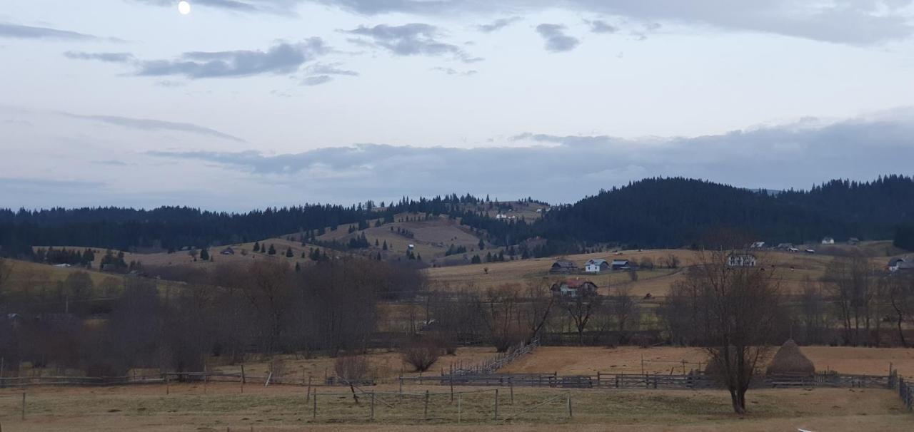 Casa Florea Poiana Stampei Buitenkant foto