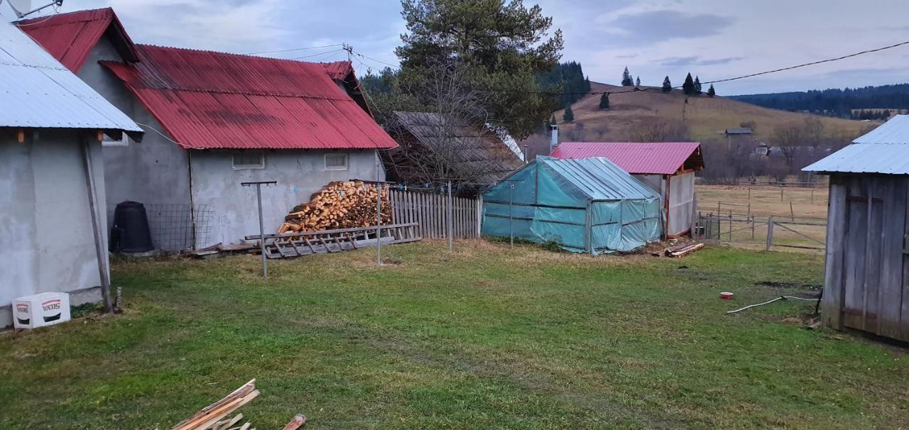 Casa Florea Poiana Stampei Buitenkant foto